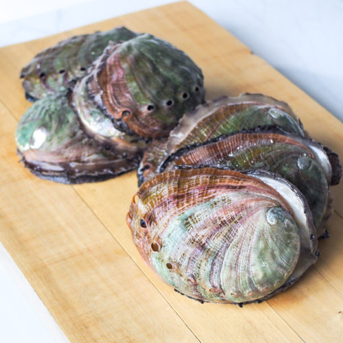 Farmed Live Abalone